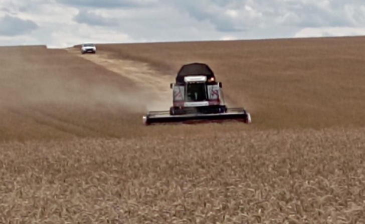 В Курской области план по севу озимых выполнен на 67%