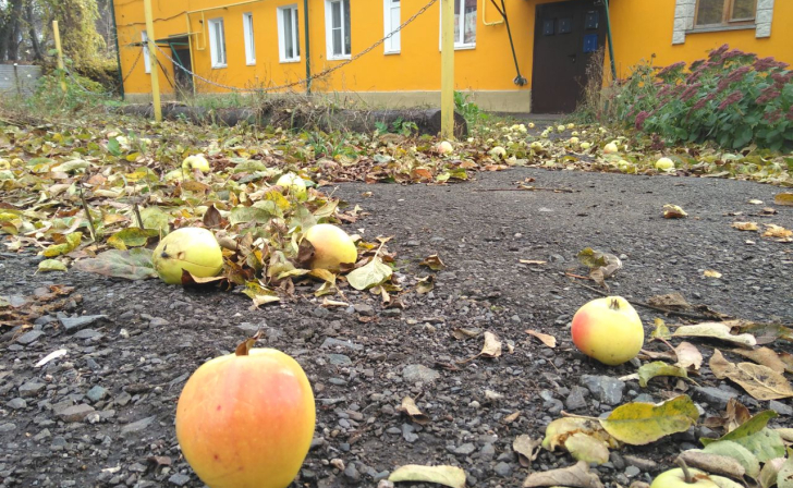 В Курске 10 ноября будет ясная погода, а завтра местами дожди