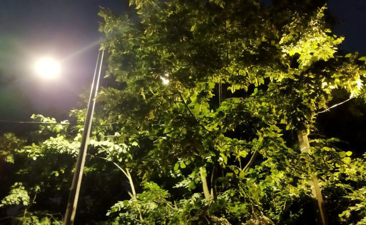 В Курске на 21 улице сделали освещение В Курске на 21 улице сделали освещение