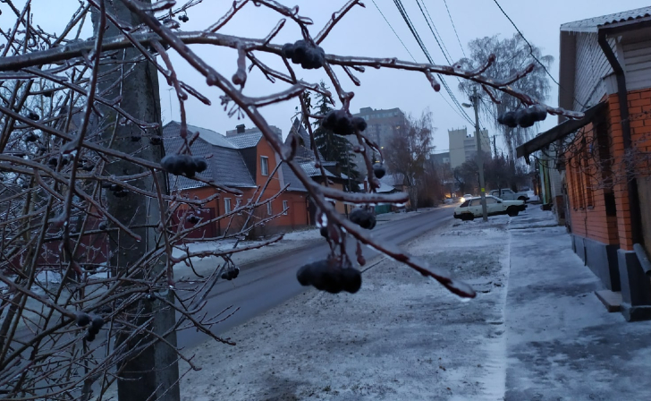 В 6 районах Курской области из-за непогоды ввели режим ЧС