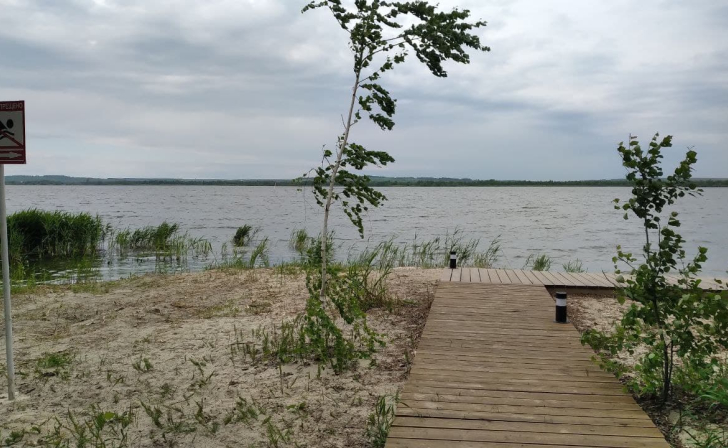 В Курской области двум мужчинам грозит до 5 лет колонии за вылов 2014 рыб уклеек