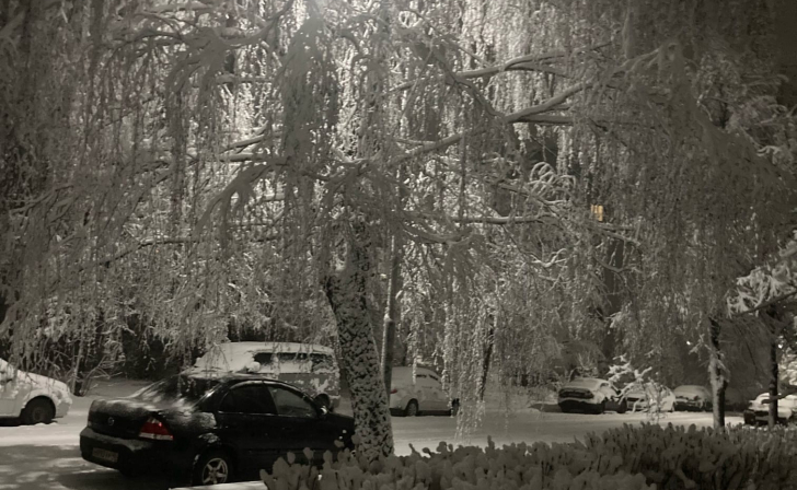 В Курской областью ночью ожидается до 14 градусов мороза