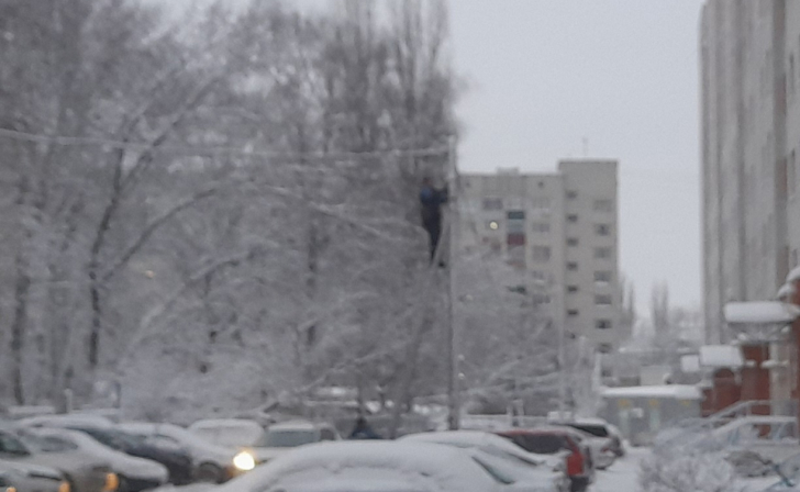 Роман Старовойт ответил на вопрос работников АО «Курские электрические сети»