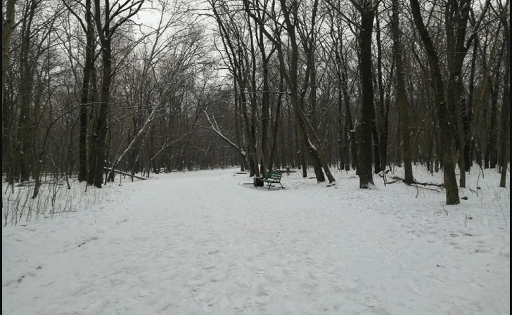 15 декабря на Самару обрушился снегопад