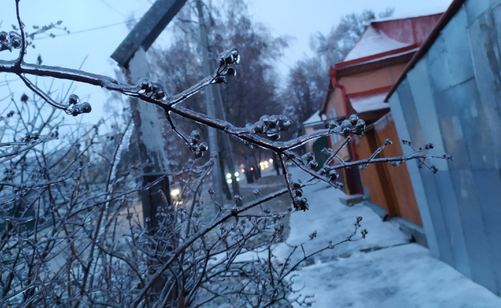 В Курской области 18 декабря пройдут дожди с мокрым снегом