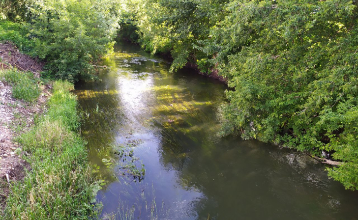 В Курске завершилась расчистка протоки Кривец