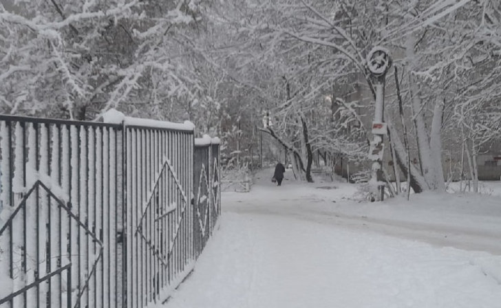 20 декабря в Курской области ожидаются снег и мороз