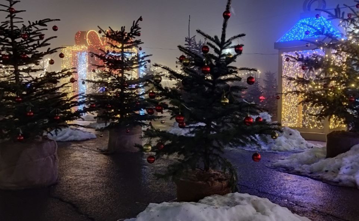 В Курске 27 декабря обещают небольшой снег и южный ветер