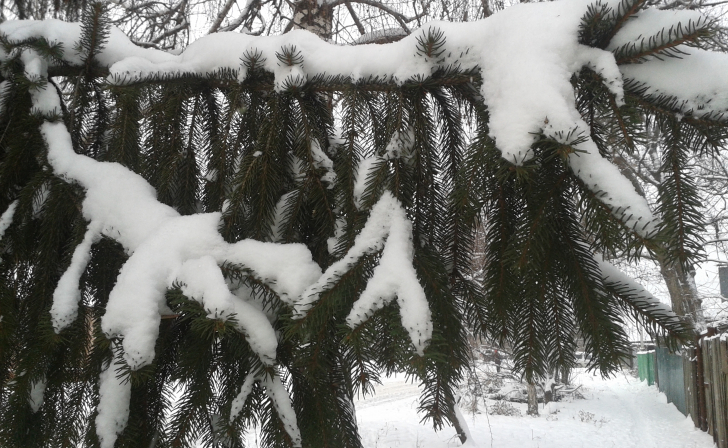 Жители Курской области сообщили в Службу спасения о 73 заторах на дорогах