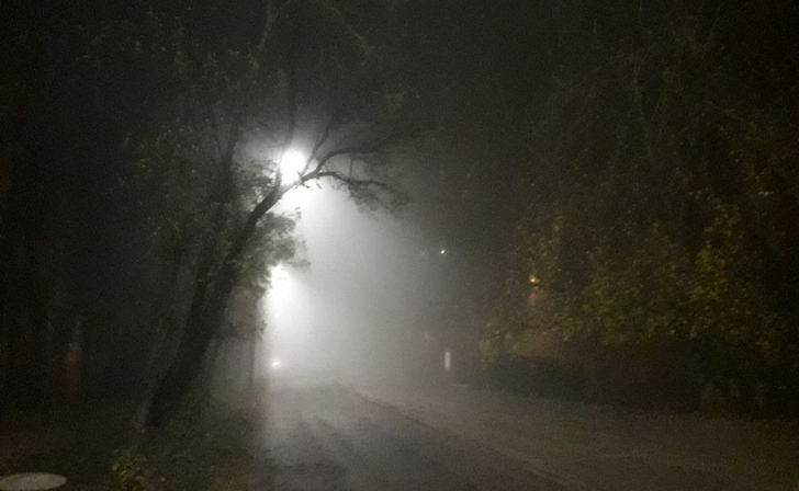 В Курске 3 января ожидается до 8 градусов тепла и туман