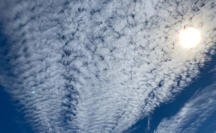 В ночь на Рождество в Курской области обещают до 23 градусов мороза