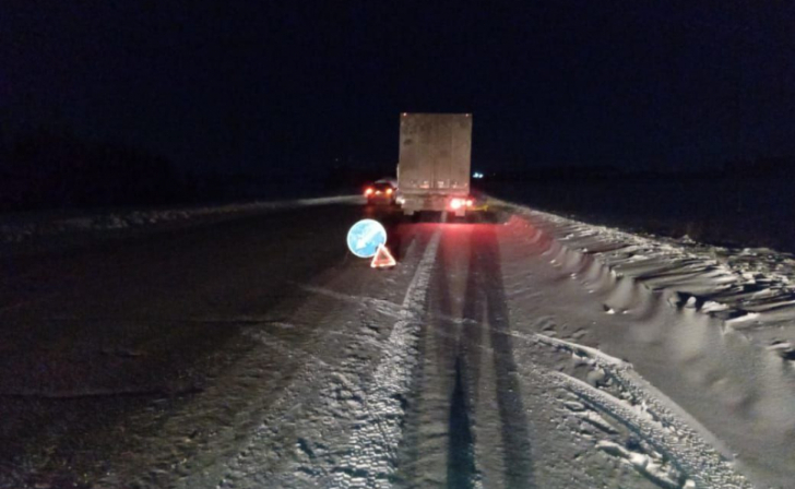 Дальнобойщика из Курска в Рождество спасли на дороге в Удмуртии