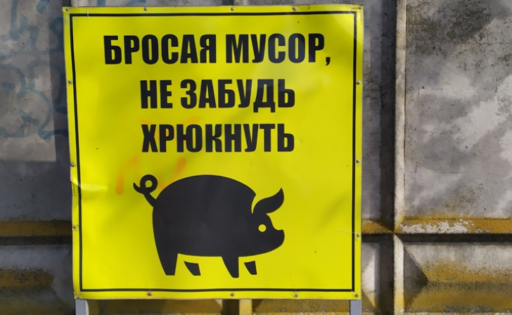 В Курской области с 11 января действуют штрафы за выброс мусора из автомобиля