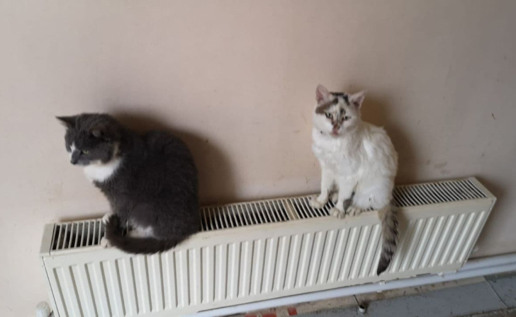 В Курске 2 февраля без тепла и горячей воды останутся 14 домов