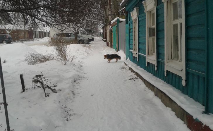 В Курской области 12 февраля ожидается снег