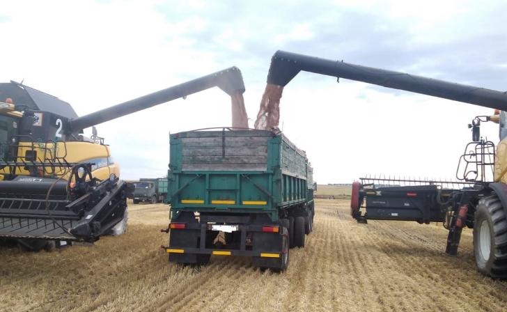 Курская область в 2023 году экспортировала в Сербию более 700 тонн зерна