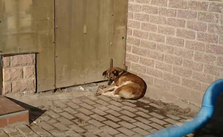 В Курске 22 февраля будет мороз до минус 17 и местами снег