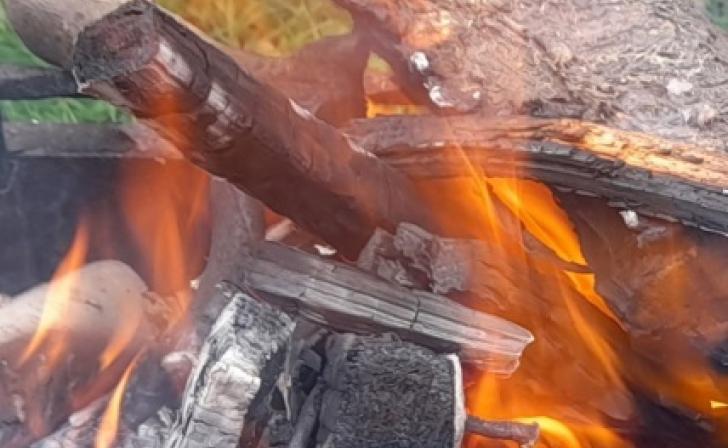 С 1 марта в Курской области вступают в силу нововведения в Правила противопожарного режима