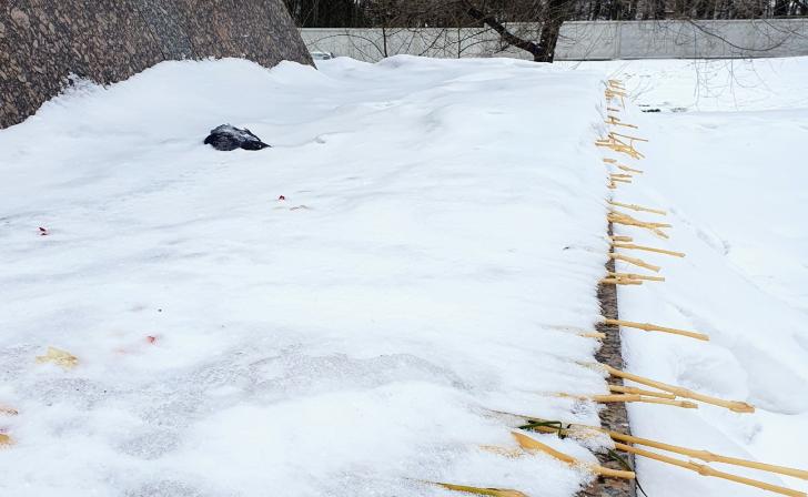В Курске памятник танкистам «украшен» завявшими цветами и трупами голубей