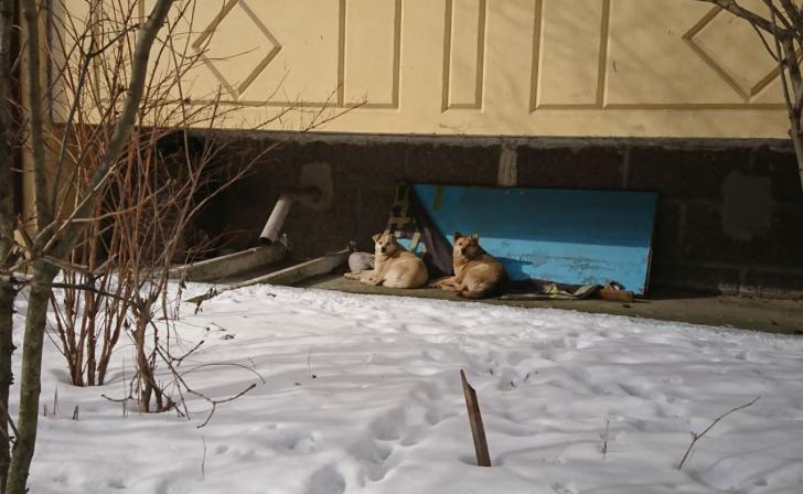 В Курске 9 марта днём будет плюс 8 градусов тепла, а завтра небольшой мороз