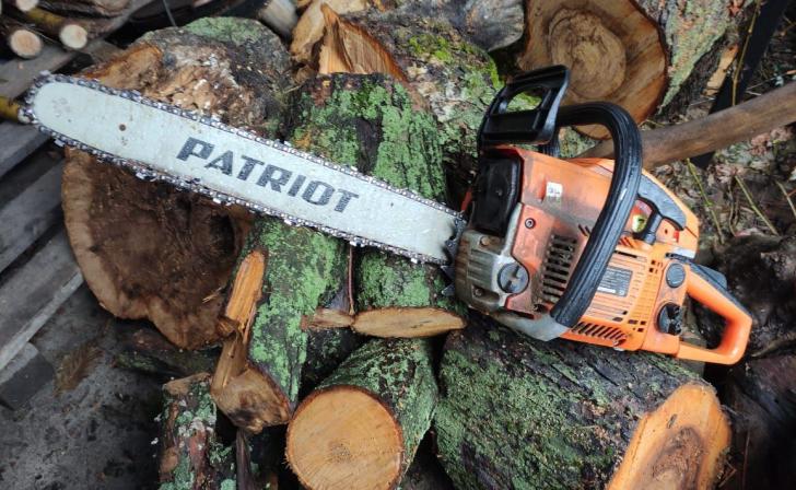 В Курске в урочище Парк 11 марта заготавливали дрова для военнослужащих