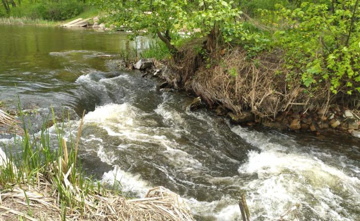 В Курской области расчищают русло реки Медвенка
