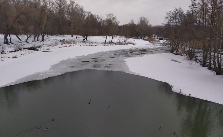 В Курской области из-за паводка закрыты 3 низководных моста