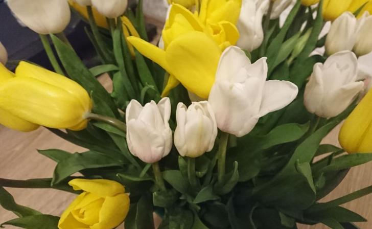 В Курске сегодня пасмурно и около 6 градусов выше нуля