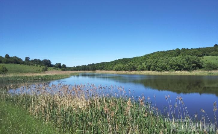 В Курской области появилась особо охраняемая природная территория - «Парк имени Н.А. Никитина»