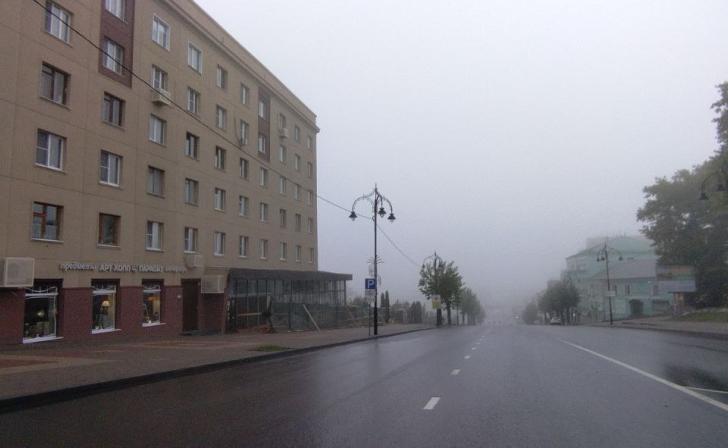 Курян приглашают на персональную выставку «Рефлексия» художницы Марии Куржуповой