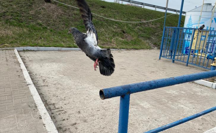 В Курске 5 апреля днём плюс 15, день пройдет без осадков