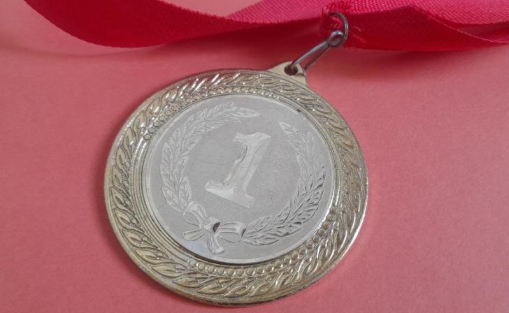 Школьница из села Беседино Курской области стала лауреатом международного фестиваля искусства