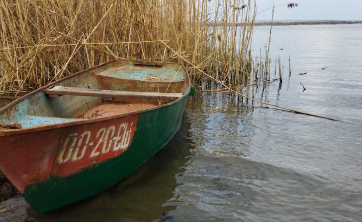 Ночью в Курской области ожидаются заморозки, днем температура поднимется до 18 градусов