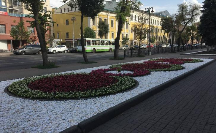 В Курске на городских клумбах обрезают розы