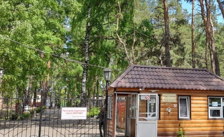 В Курске родители могут подать заявление в школьные и загородные лагеря с 25 апреля