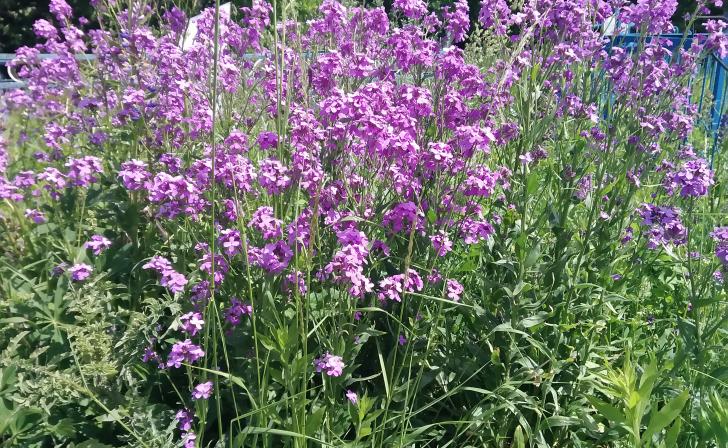 В Курской области появилась охранная зона памятника природы «Точильный лог»