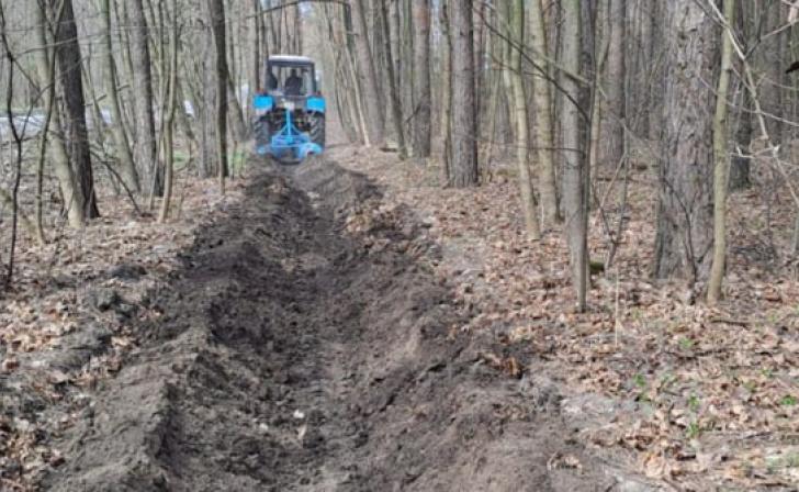 В курских лесах обновляют минерализованные полосы