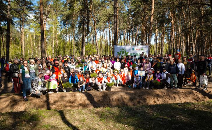 В урочище «Парк» на выходных высадили 20 тысяч сосен