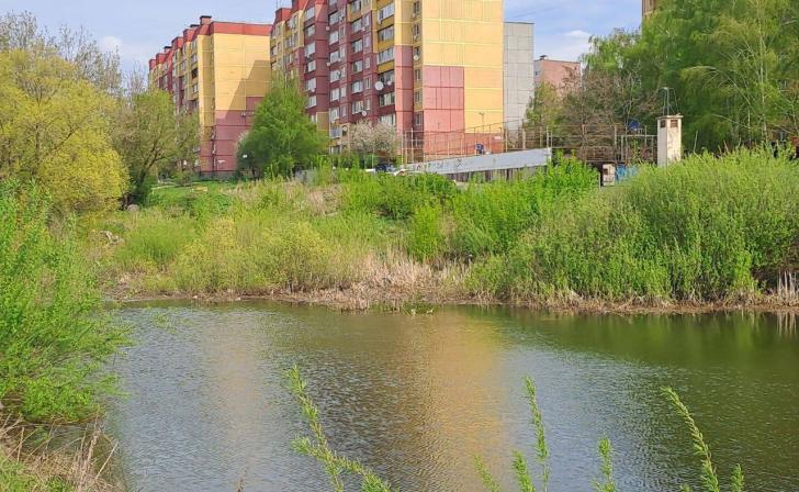 В Курске в озеро на ул.Студенческая 27 апреля выпустили почти 60 кг малька карпа