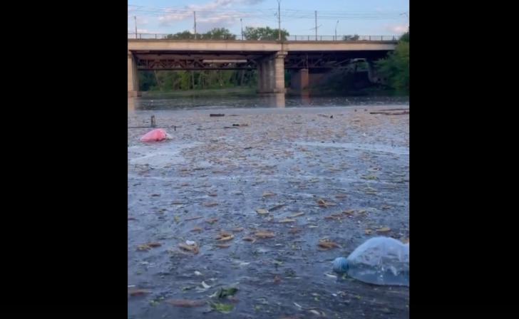 В Курске Минприроды будет трижды в день мониторить реку Сейм из-за сообщений о нечистотах В Курске Минприроды будет трижды в день мониторить реку Сейм из-за сообщений о нечистотах