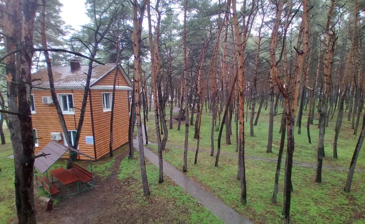 Юных курян приглашают принять участие в Летней творческой школе Юных курян приглашают принять участие в Летней творческой школе