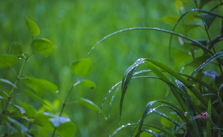 В субботу в Курской области ожидаются кратковременные дожди и грозы