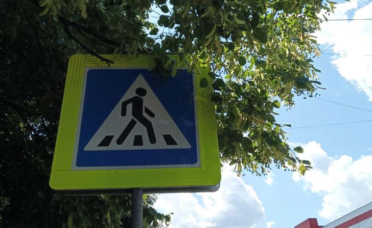 За сутки в Курской области правила ПДД нарушили 54 пешехода