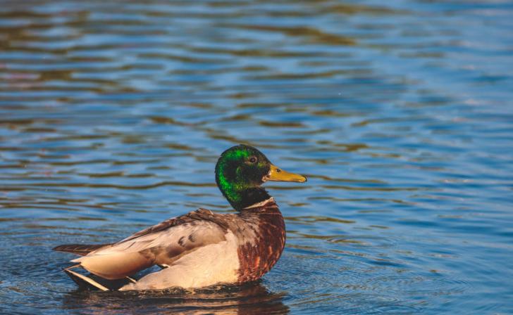 14 июня в Курской области ожидается до 25 градусов
