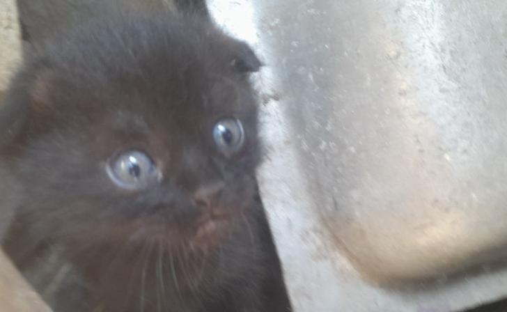 В Курске 14 июня будет пасмурно и без осадков