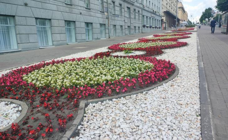 В Курске за неделю высадили почти 15 тысяч однолетних цветов
