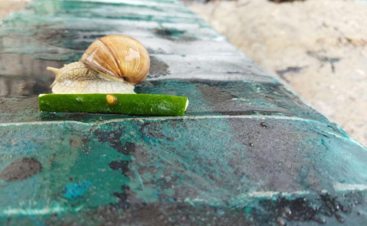 В Курской области 25 июня ожидаются дожди