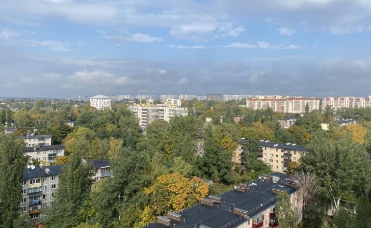 В Курской области живёт более 12 тысяч многодетных семей