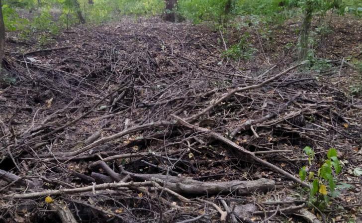 Инспекторы Минприроды Курской области выявили несанкционированную свалку в Дмитриевском районе