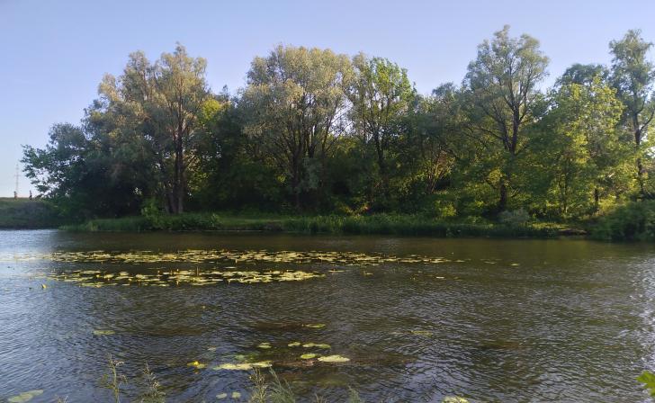 Курские экологи обследовали три памятника природы и нашли их в хорошем состоянии